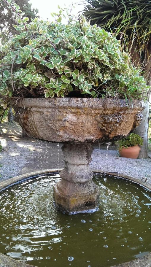 Villa Rural El Poleo D&R Con Piscina Climatizada Privada Y Solarium Pico de Viento ภายนอก รูปภาพ